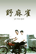 《野麻雀》封面