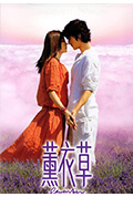 《薰衣草》封面