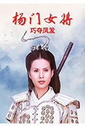 《杨门女将之巧夺凤发》封面