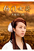 《杨门女将之大破天门阵》封面