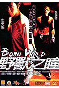野兽之瞳封面
