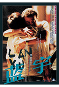 《蓝宇》封面