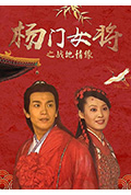 《杨门女将之战地情缘》封面