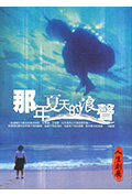 那年夏天的浪声封面
