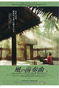 《最后的木琴师》封面