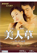 《美人草》封面