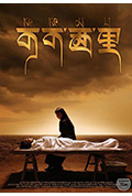 《可可西里》封面