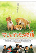 《爱犬的奇迹》封面