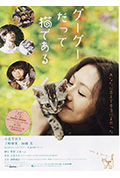 咕咕是一只猫封面