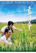 袁隆平封面