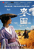 《麦田》封面