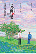 山楂树之恋封面