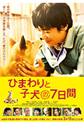 《向日葵与幼犬的7天》封面