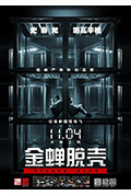 金蝉脱壳封面