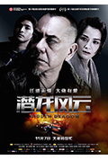 《潜龙风云》封面