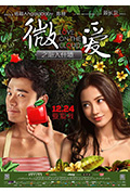 《微爱之渐入佳境》封面