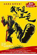 《我不是王毛》封面