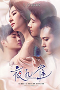 《夜孔雀》封面