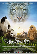 我们诞生在中国封面