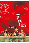 《芳华》封面