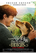 《一条狗的回家路》封面
