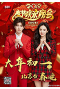 《2019年北京卫视春节联欢晚会》封面