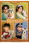 《狗眼看人心》封面