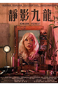 《静影九龙》封面