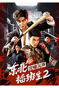 《东北插班生2虎啸风声》封面