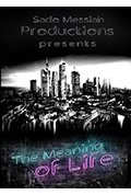 The Meaning Of Life封面