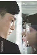 《虚擬青春》封面