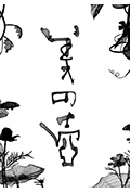 《美之壶:一杯幸福咖啡》封面