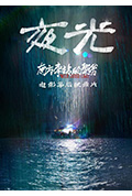 《夜光》封面