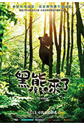 黑熊来了封面