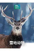《雪地动物》封面