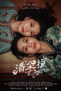 《潘朵拉》封面