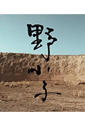 《野小子》封面