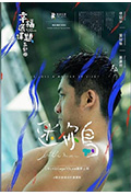 《幸福选择题五部曲 - 迷你鸟》封面