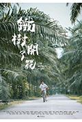 铁树开了花封面
