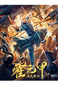 功夫宗师霍元甲封面