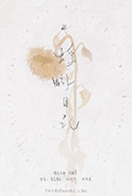 蜉蝣日记封面