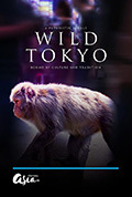《狂野东京》封面