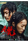 《老虎》封面
