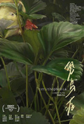 恐鸟症封面