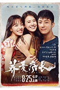 《荞麦疯长》封面