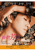 《梅艳芳菲》封面