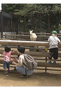 《纪实72小时 川崎 山丘上的动物园》封面