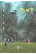 《雨打芭蕉》封面