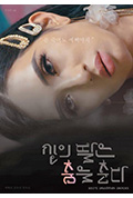 《神的女儿在跳舞》封面