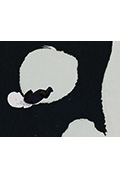 《滋養》封面